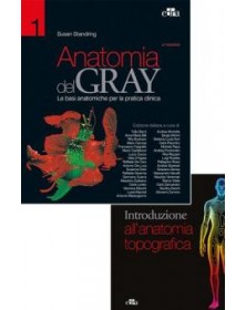 Anatomia del Gray. Le basi...