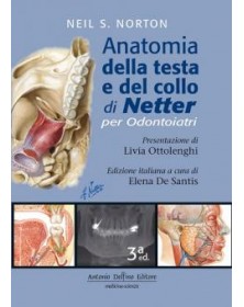 Anatomia della testa e del...