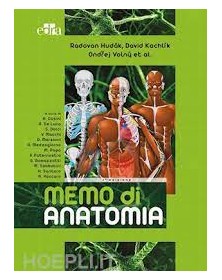 Memo di anatomia