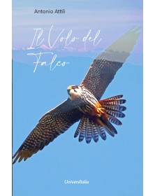 Il volo del falco