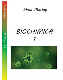 Sbob Marley - Biochimica 1