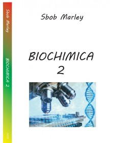 Sbob Marley - Biochimica 2