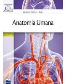 Anatomia Umana