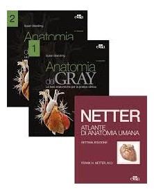Netter Gray. L'anatomia:...