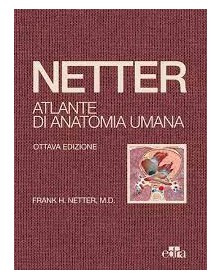 Netter. Atlante di anatomia...