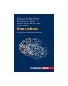 Neuroscienze