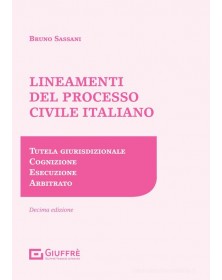 Lineamenti del processo...