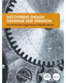 Discovering English Grammar...