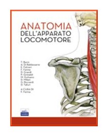 Anatomia apparato locomotore